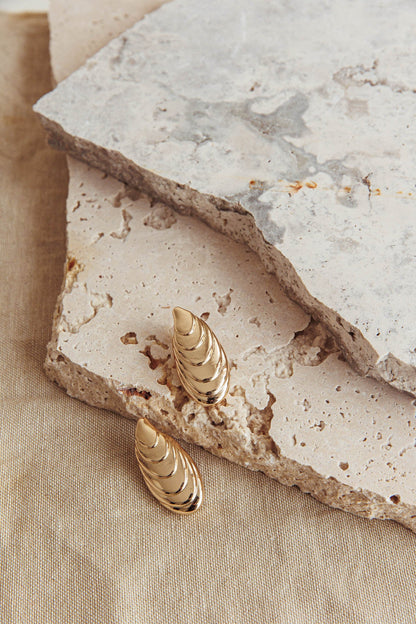 Pippy Shell Earrings Gold